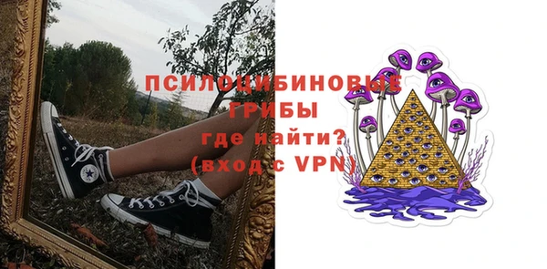 прущие крисы Балахна