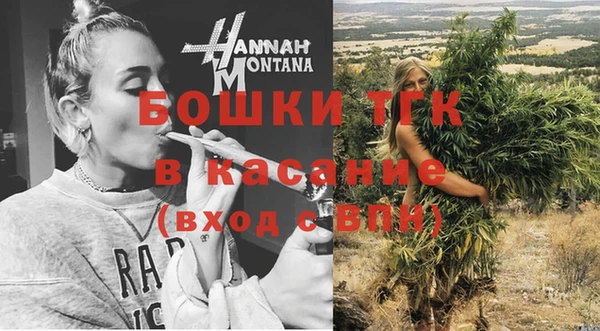 дживик Арсеньев