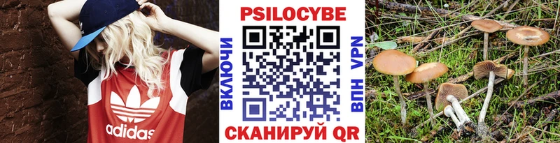 Галлюциногенные грибы Psilocybine cubensis  Усолье-Сибирское 